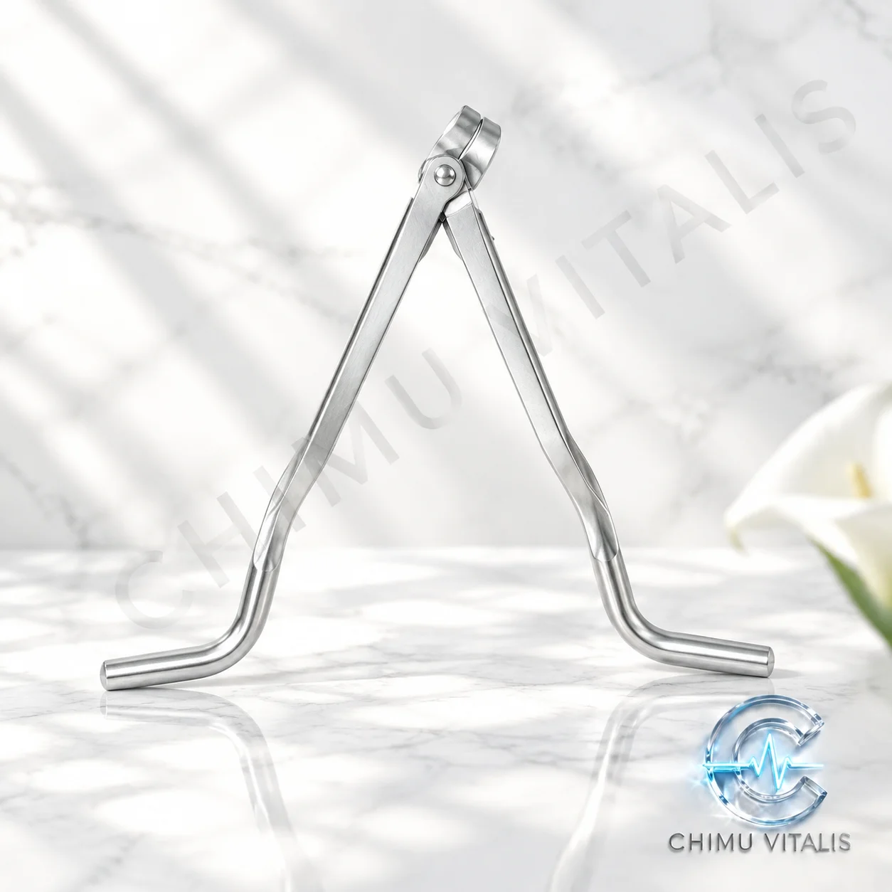 【CHIMU VITALIS 】 Eagle Beak Gypsum Scissors Stainless Steel Polymer Handle Cast Tool