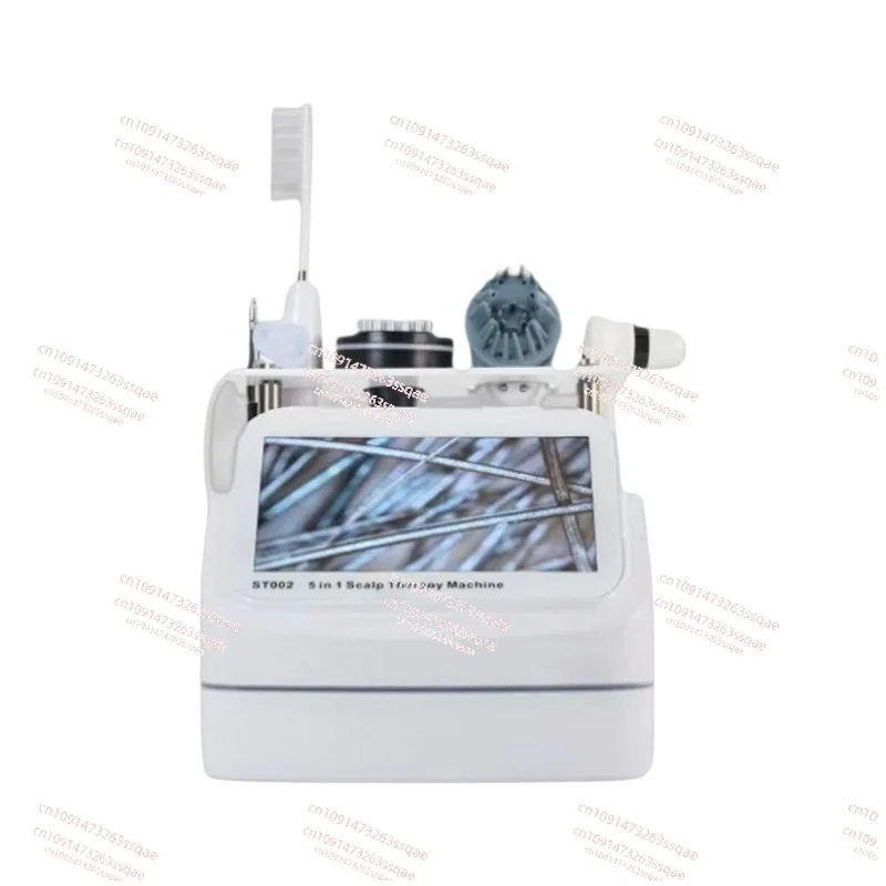 

Multifunctional Scalp Care Instrument Nanometer Spray Hair Therapy Machines Head Skin Care Device Nano Sprayer for Hair Salon