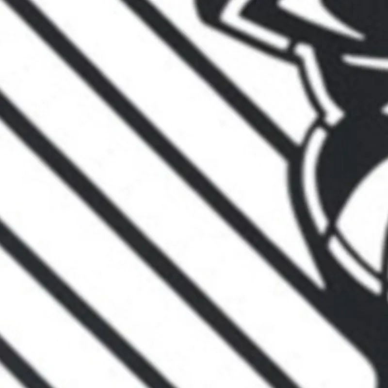 

2002 2003 2004 2005 2006 2007 Radiator Guard Grille Protector Cover Water Tank Shield For Honda CB919 CB900F Hornet HORNET900