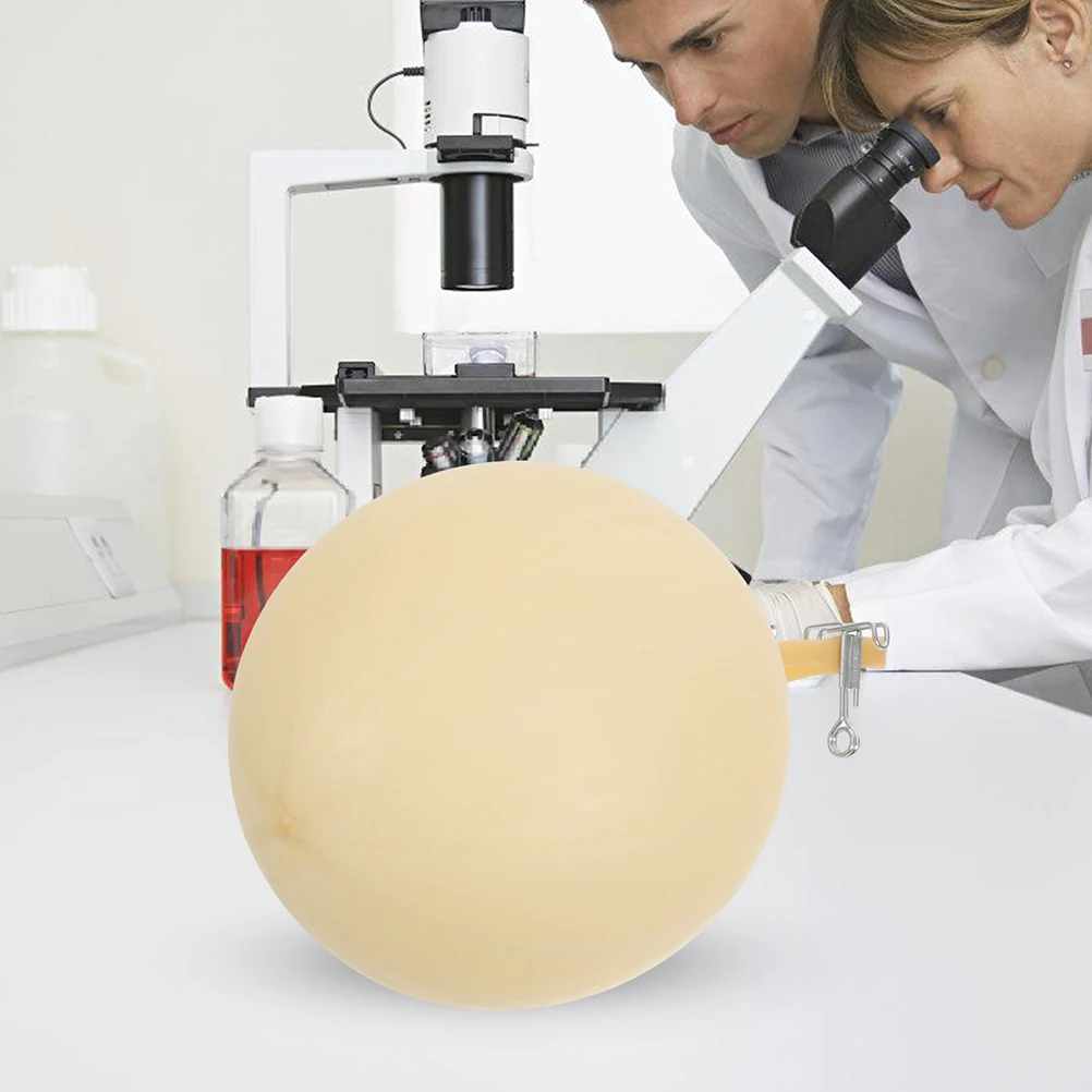 

4pcs Gas Sampler Inflatable Latex Bladder Tool for Laboratory Beige Rubber Efficient Collector Balloon Equipment Device