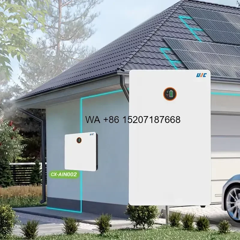 Wmwmnu for 51.2V 200Ah 10KWh Home Solar Energy Storage System LiFePO4 Lithium Battery Pack Wall Mounted All In One CAN CE