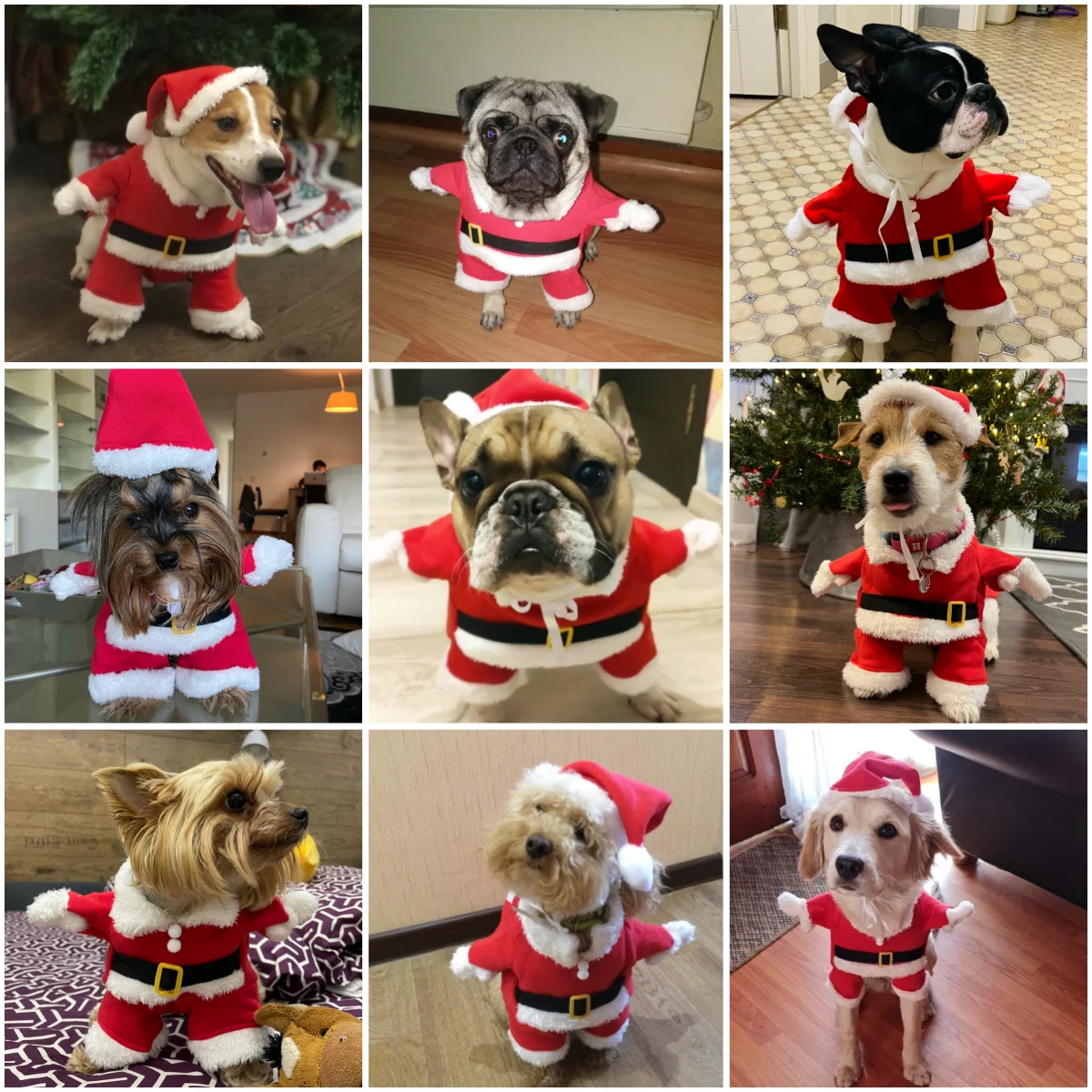 عيد الميلاد زي الحيوانات الأليفة للكلاب الصغيرة القطط مضحك سانتا كلوز تأثيري الكلب بذلة للحزب لطيف الحيوانات الأليفة الملابس تشيهواهوا الصلصال معطف #6