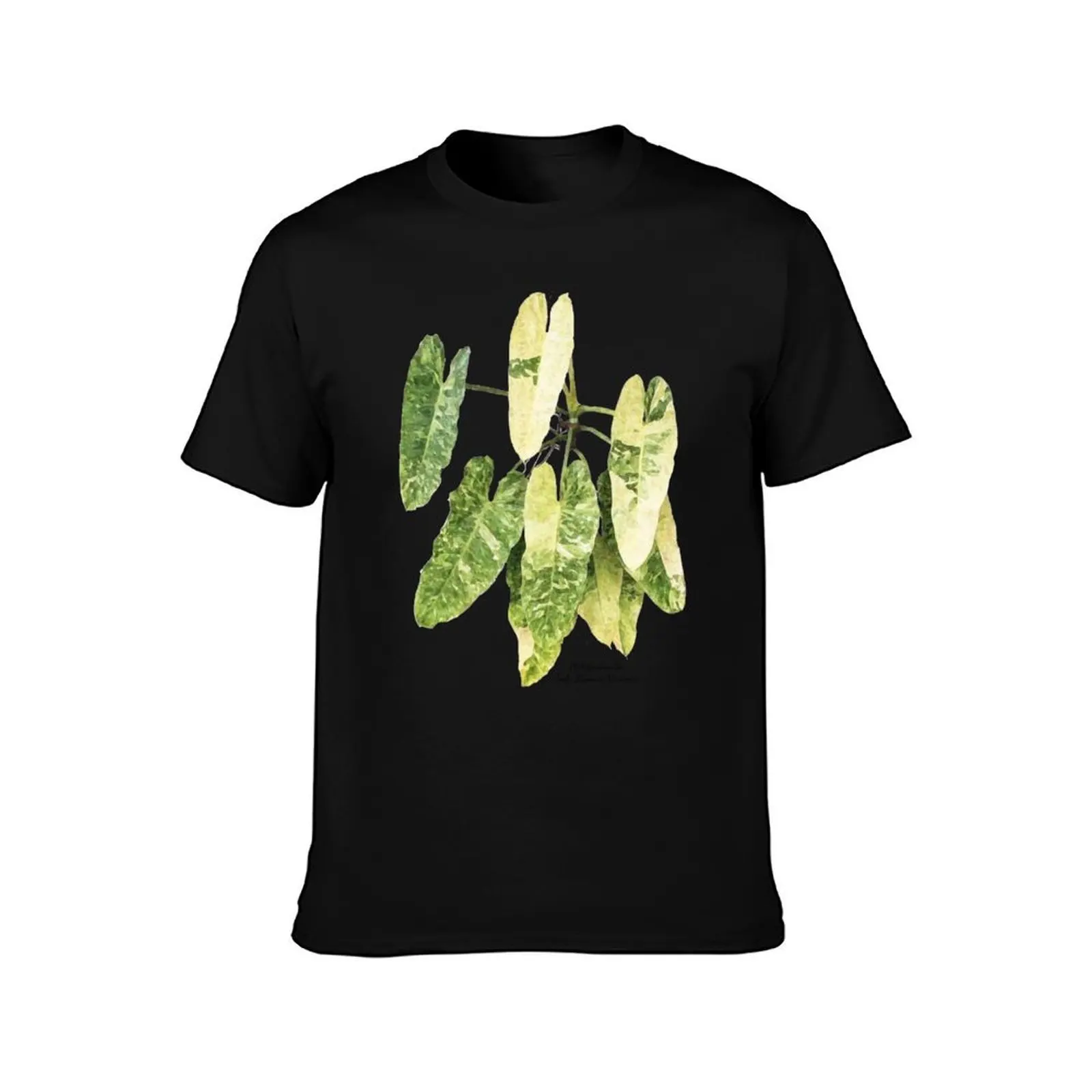 Philodendron Sp. Imbe Ilsemanii Variegata T-Shirt Ultra Soft Breathable Tee Top T-Shirt