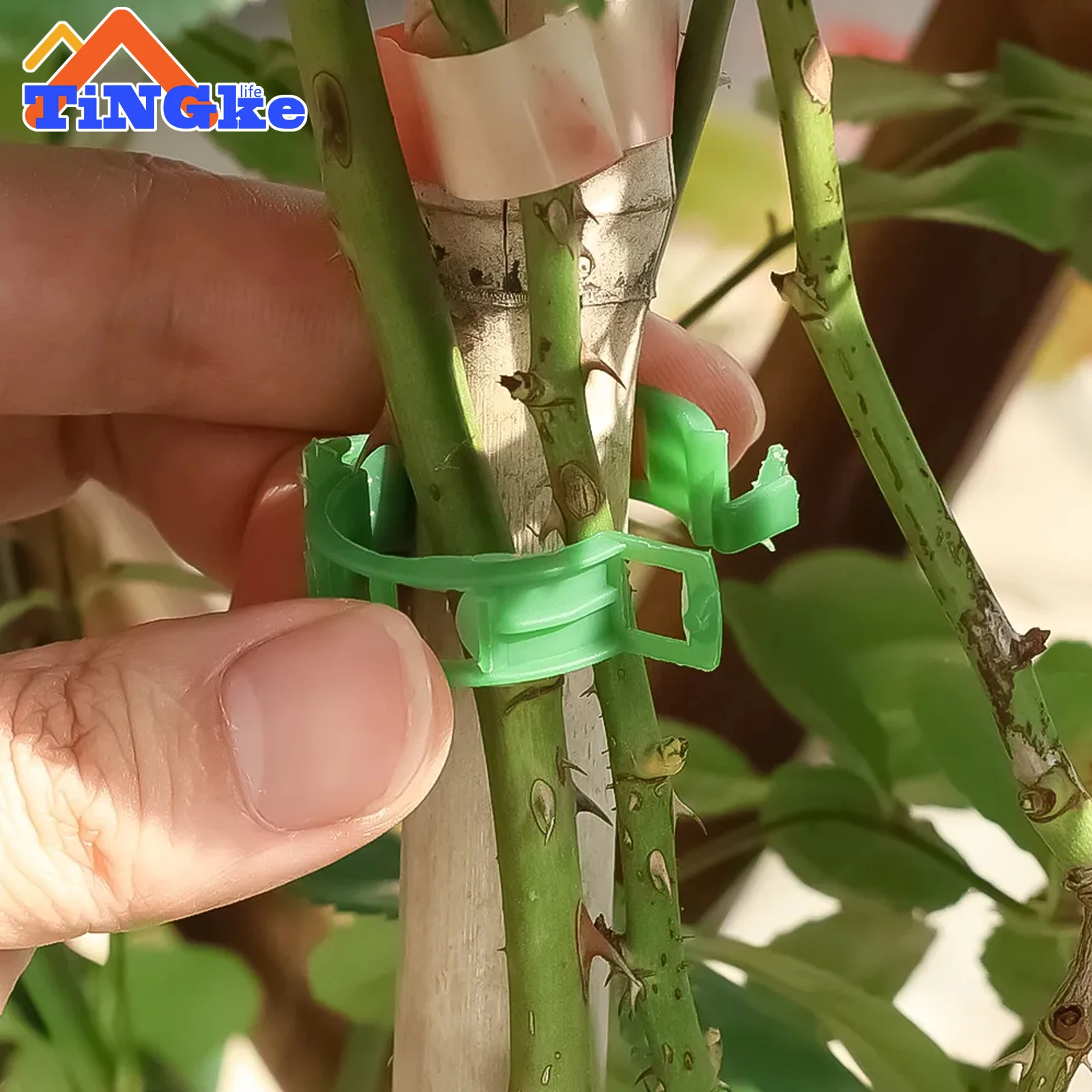 50/100pcs Plastic Plant Support Clips Connects Reusable Protection Grafting Fixing Tool Gardening Supplies for Vegetable Tomato