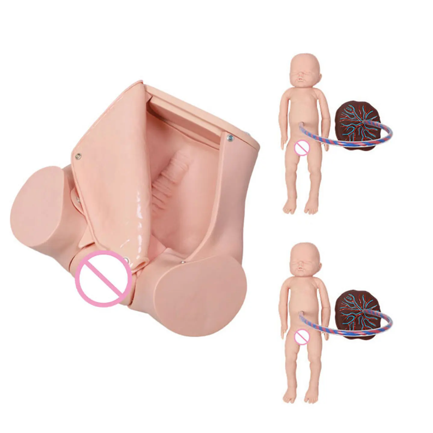 Advanced Comprehensive Childbirth Skills Training Model, Natural Childbirth Demonstration Model, Mechanism of Childbirth Model