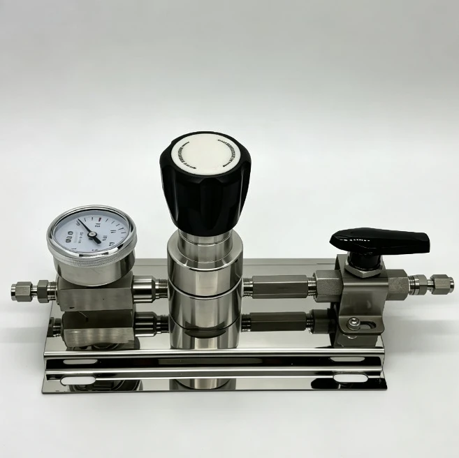 316L Stainless Steel Secondary Regulator, Panel Mount Pressure Reducer for Nitrogen Oxygen Argon Hydrogen
