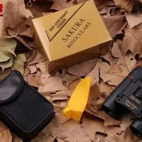 1000m Folding HD Powerful Mini 30x60 Camping Tourism Outdoors Long Range Compact Zoom Binoculars Hunting Sports