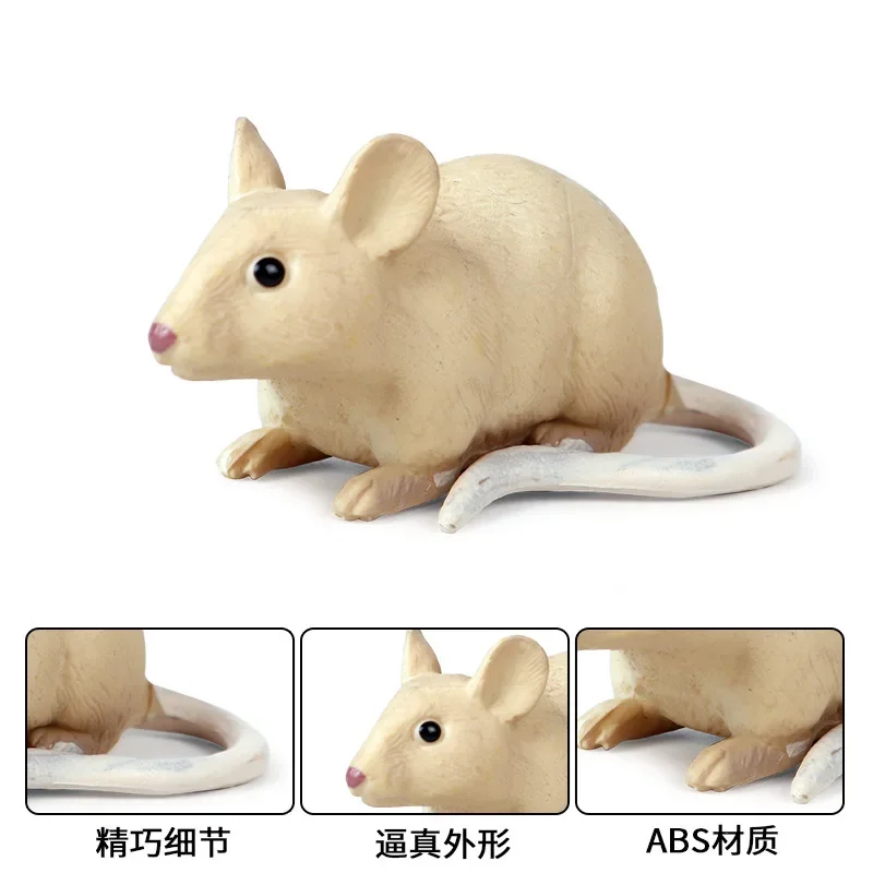 Simulation Wild Animal Solid Model Action Figures Mouse Squirrel Groundhog Opossum Children's Cognitive Toys Miniature Ornament