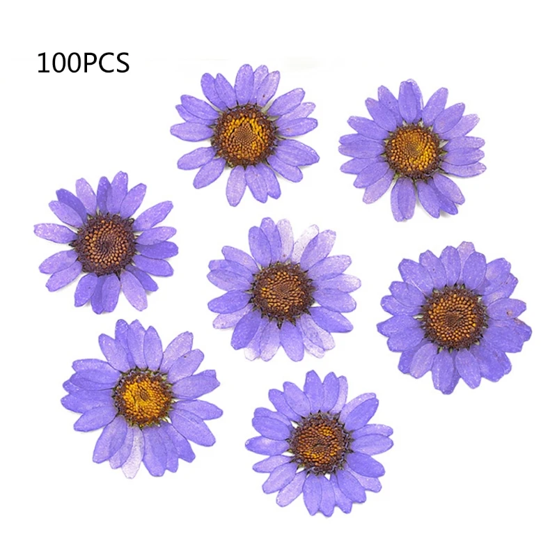 100Pcs Dried Pressed Flower Leaves Petals Pressed Flower Material