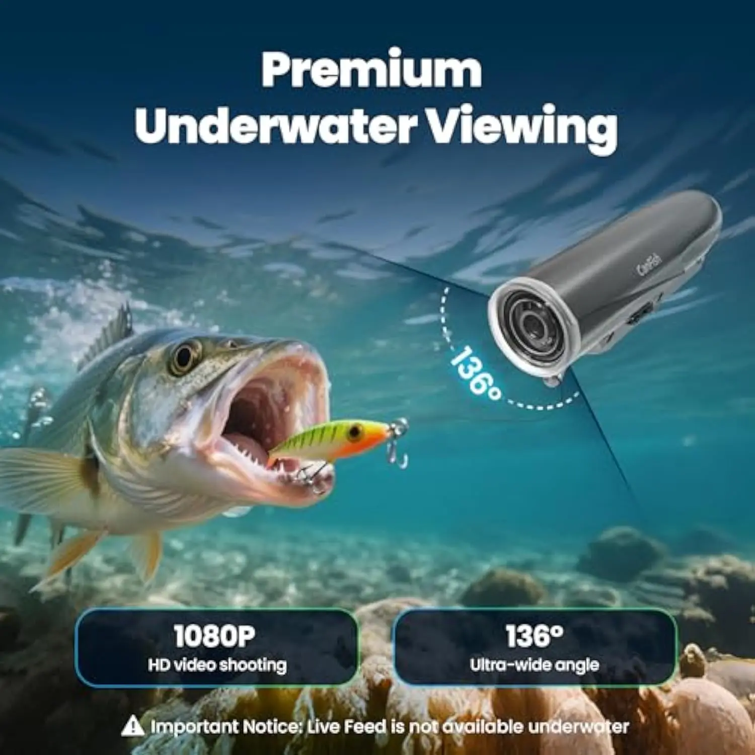 CÁMARA CANFISH FISHING CAMX