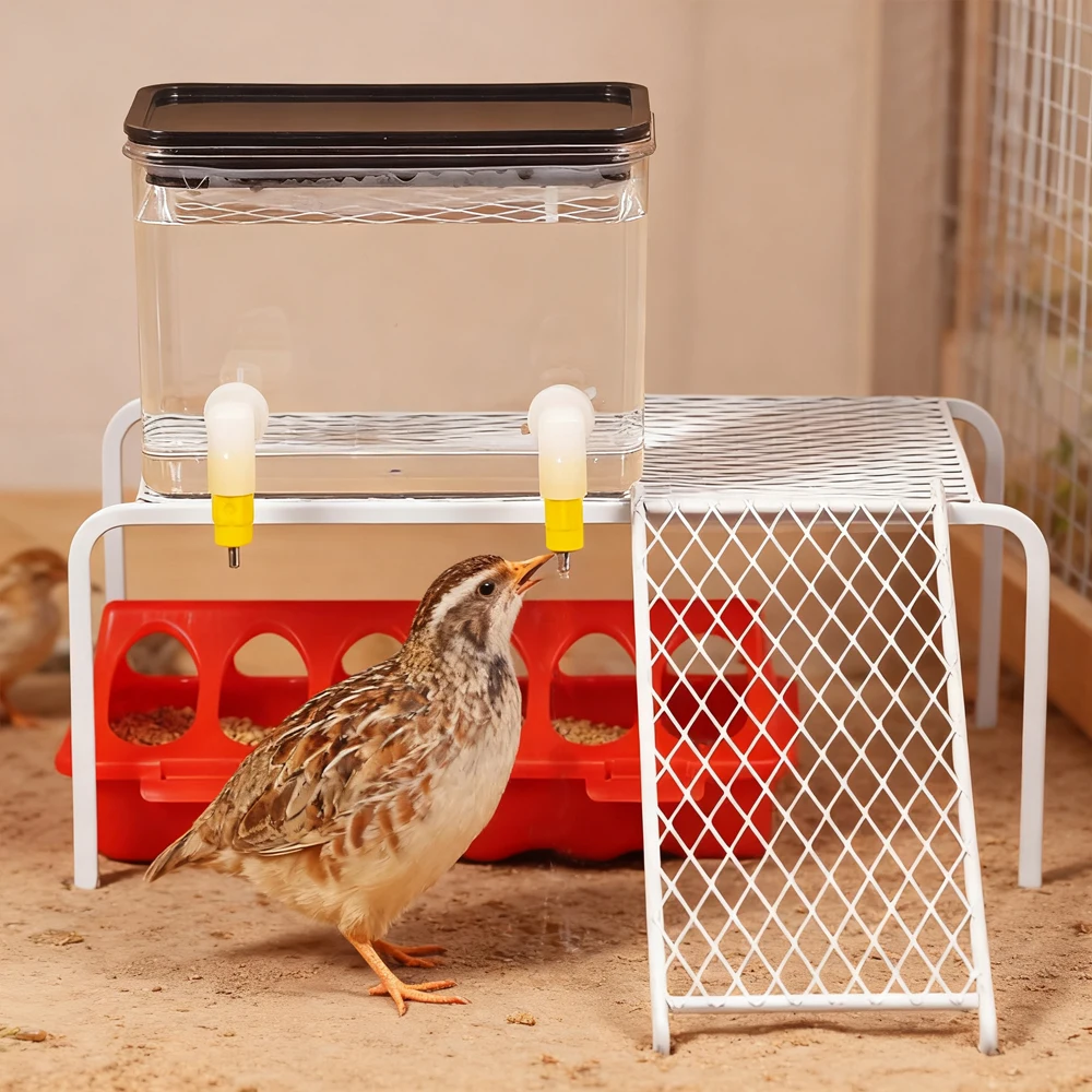 Bebedero para pollos con diseño económico, 800ml, con tetinas dobles y tapa para pollos, patos, germen, pollos, granjero al aire libre, alimentador para aves de corral, 1 ud.
