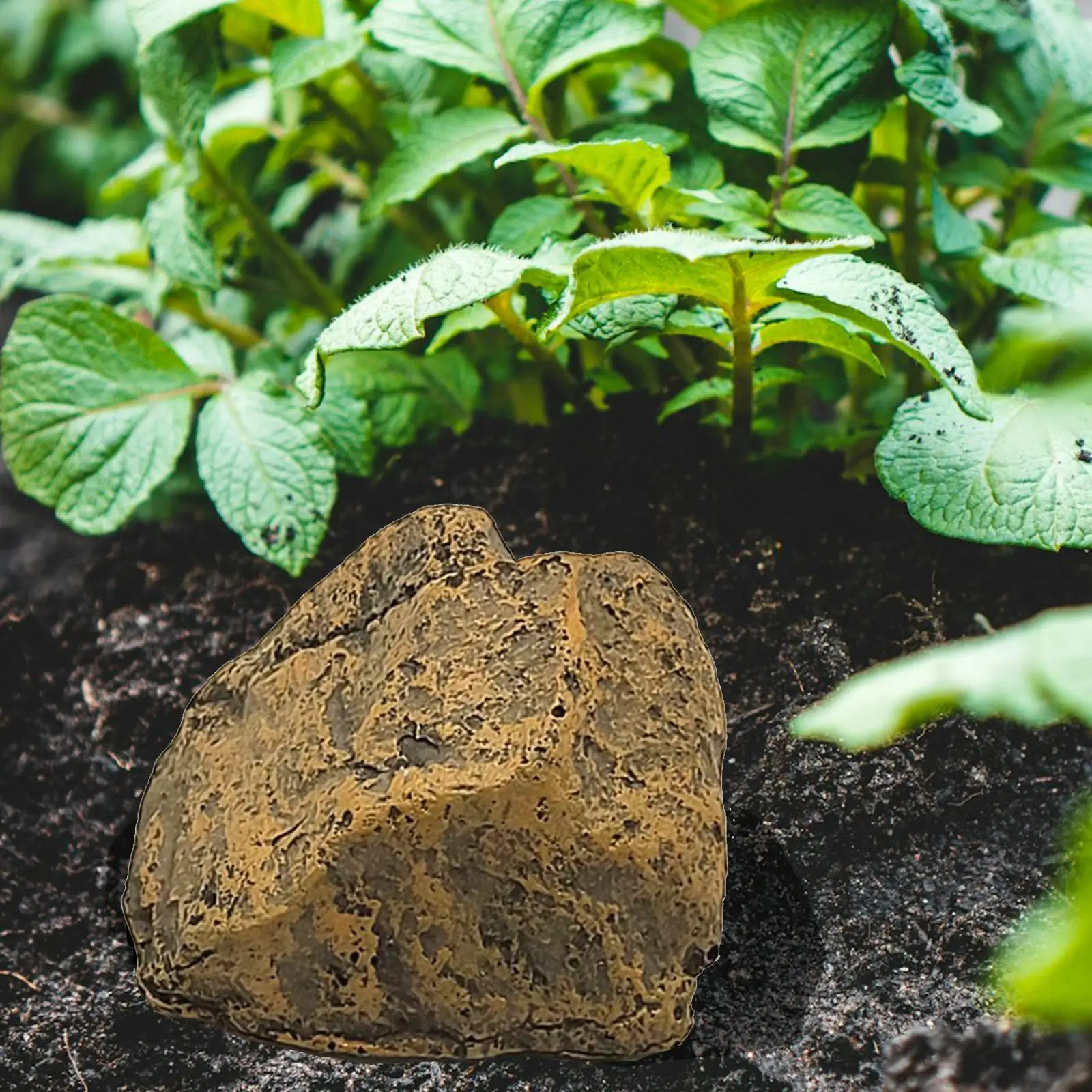 Hidden Key Safe Box Resin Faux Rock Decorative Outdoor Key Hider Waterproof Windproof for Garden Landscaping