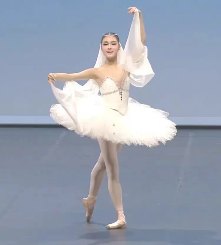 New tutu adult gauze dress ballet match dress TUtu princess dress Swan Lake dance costume