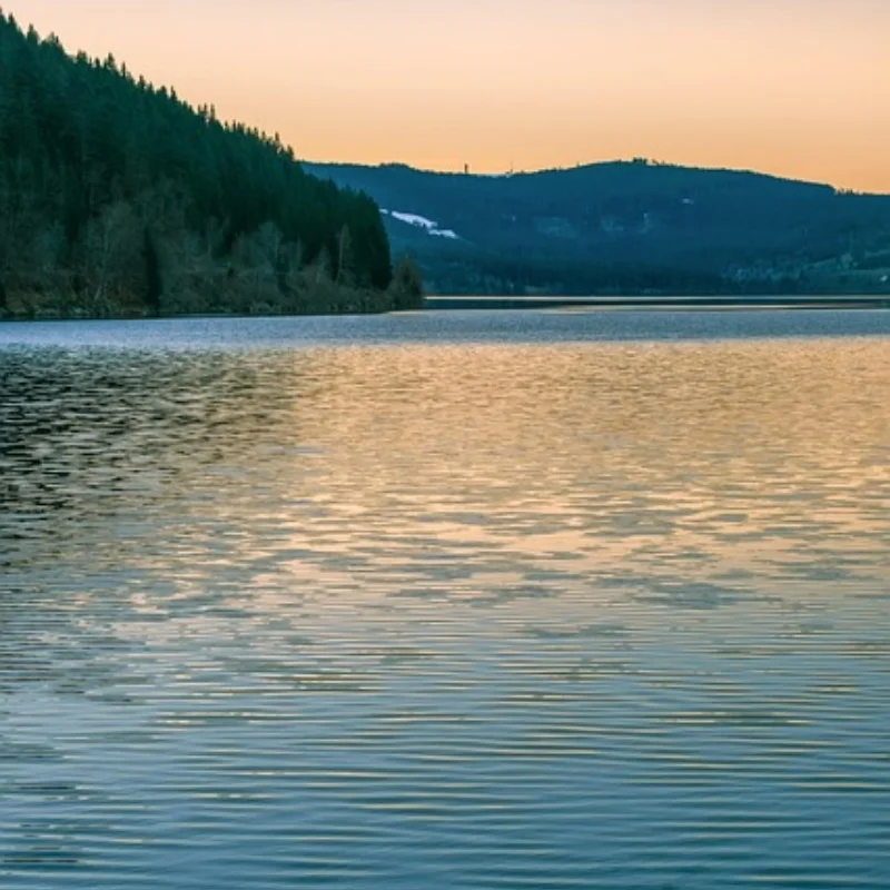 

Набор поворотных кулаков 1/10, сплав для комплекта чашек рулевого управления автомобиля с дистанционным управлением