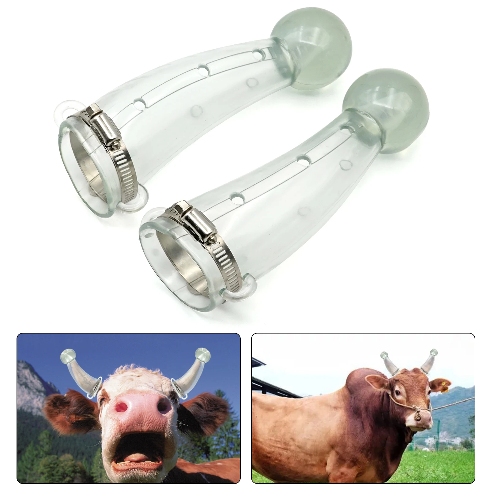 Cattle with Anti-top Device Horn Anti-top Set Horn Protection Set of Horn Set Cattle Horn Set Cattle Anti-top Equipment