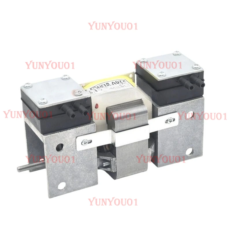 

110V/220V Miniature Oil-free Vacuum Pump HL Series Negative Pressure Suction Pump