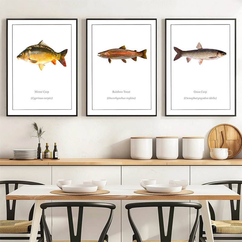 Bream Cat Fish Redeye Bass Fish PosterTropical Freshwater Fish Poster Canvas Painting Wall Art for Office Living Home Home Decor