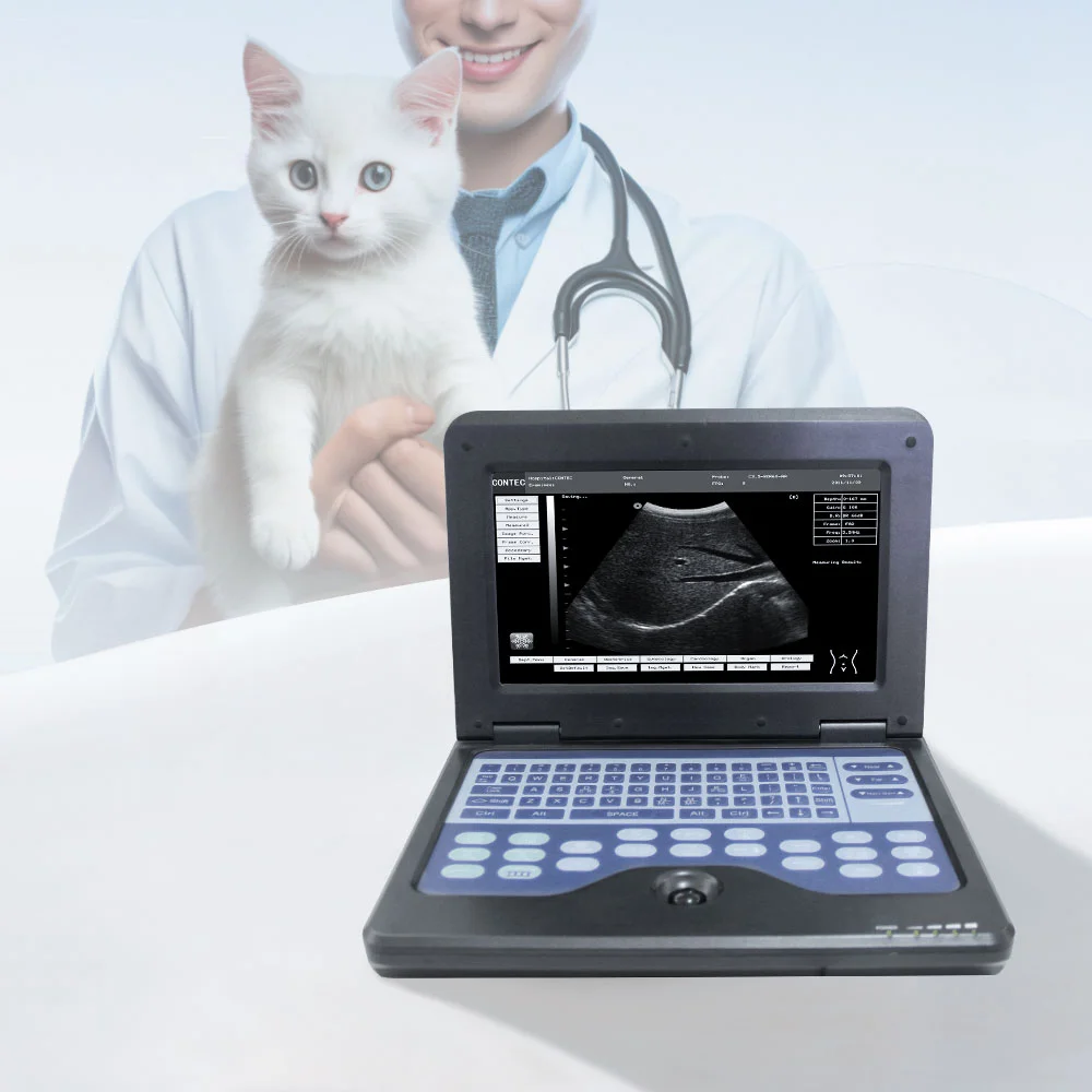 

CMS600P2VET Digital Animal Ultrasound Machine Veterinary Use Cheap Ecografo Veterinary Used for Animal Care