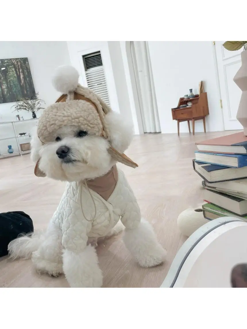 Yorkshire Terrier Dog Hat Winter Ear Exposure Autumn Winter Teddy Warm Headwear Maltese Dog Headgear Pet Accessories Baseball... - view 5