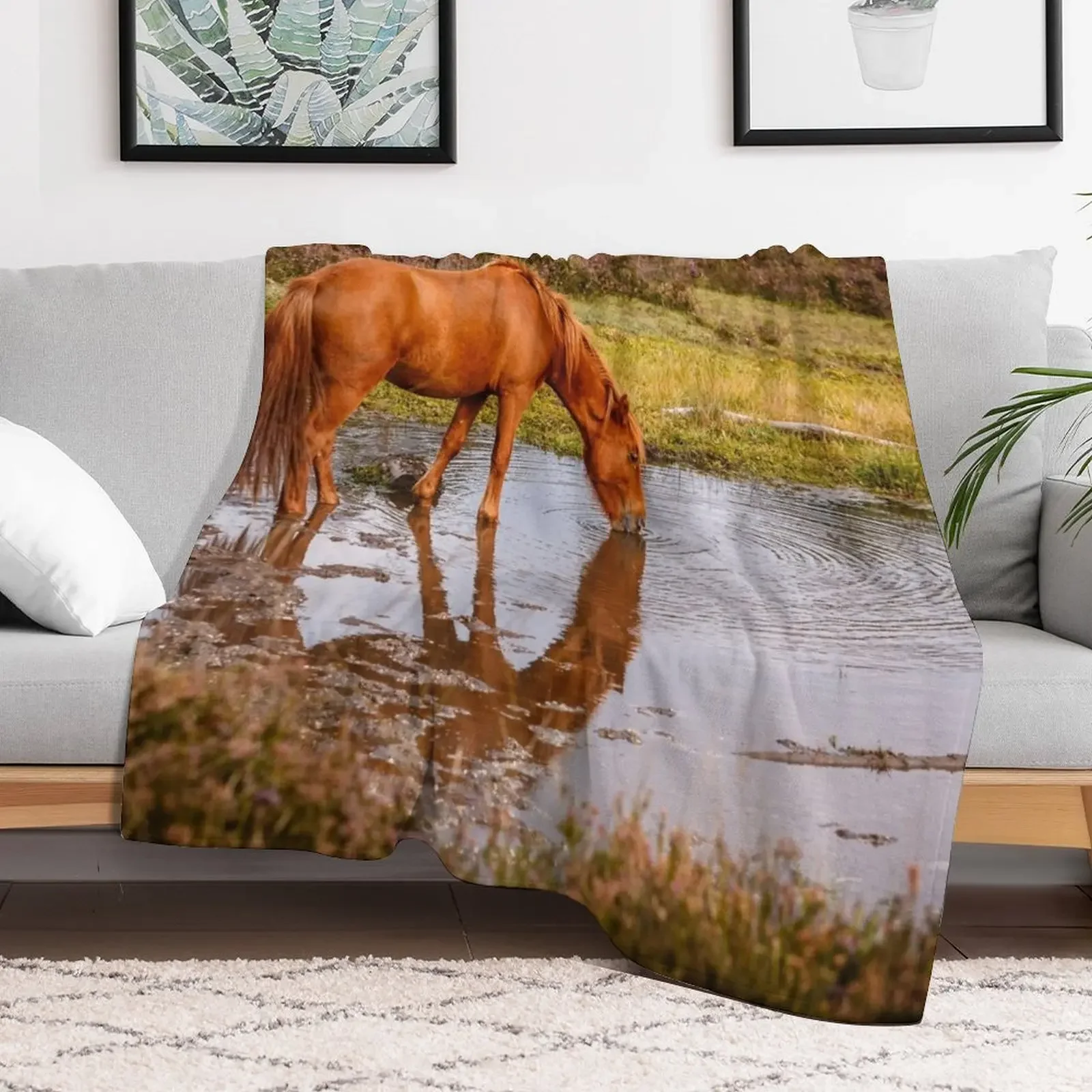 New Forest pony at waterhole with reflection Throw Blanket for winter Thins Blankets