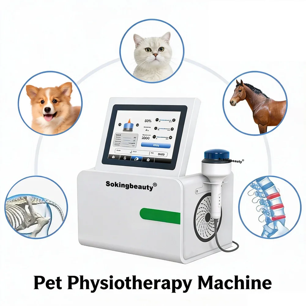 Professional Animals Electromagnetic Focused Shockwave for Pain Relief Enhanced Mobility and Anti Inflammatory