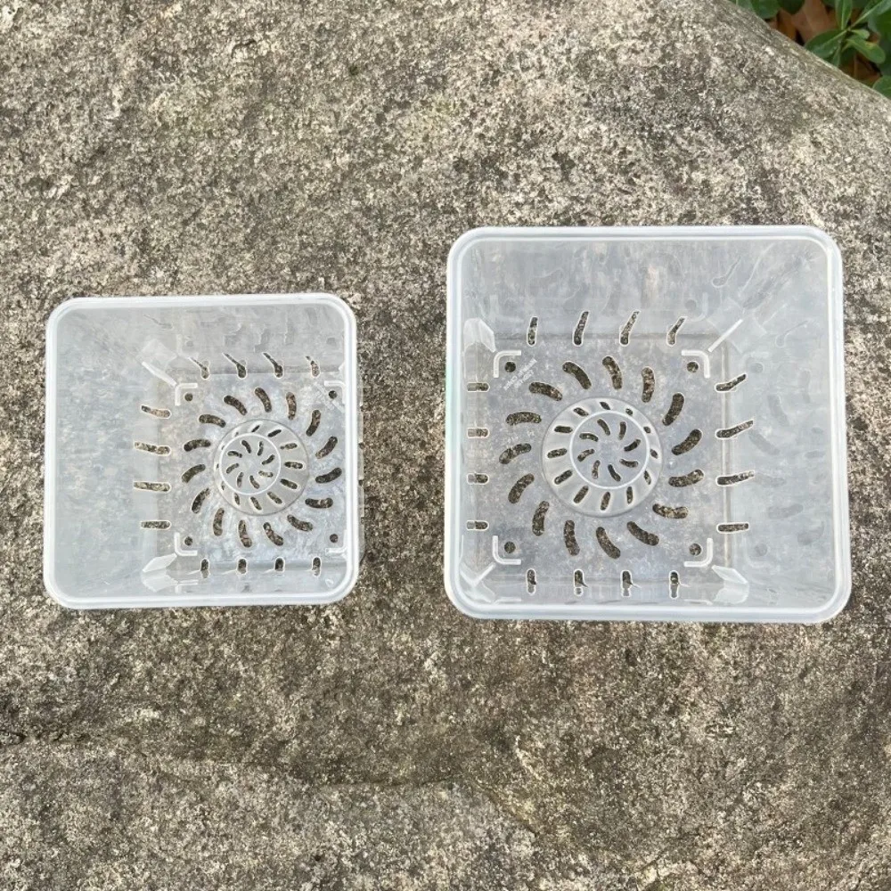 

Square Clear Flower Pots with Trays Root Control Pot Orchid Plant Grow Pot Thickened Plastic Prevent Root Rot