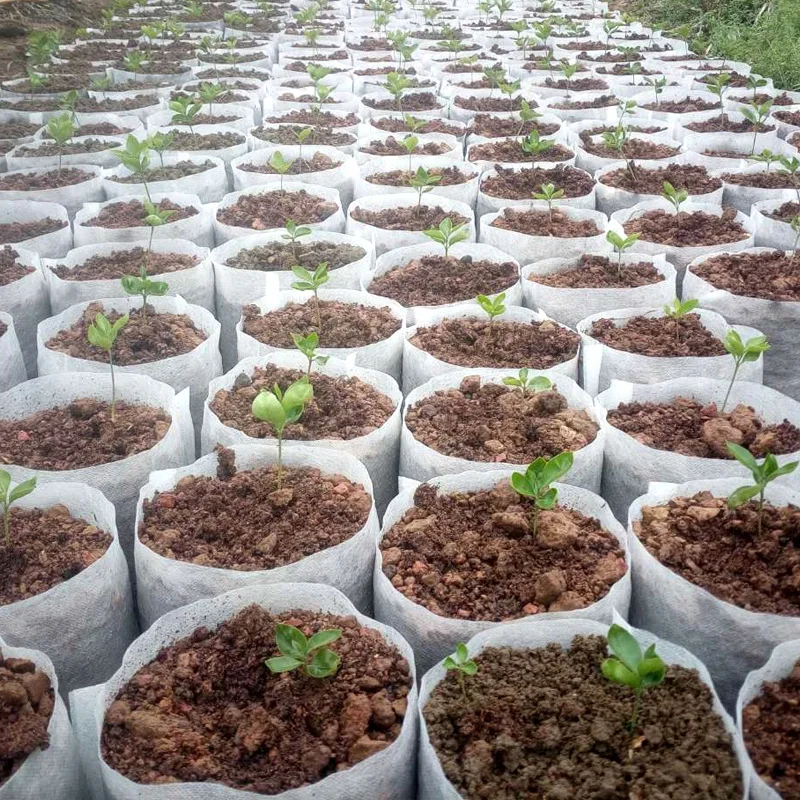 Macetas de plántulas biodegradables no tejidas de diferentes tamaños, bolsas de plantación ecológicas, bolsas de vivero, bolsas de cultivo de