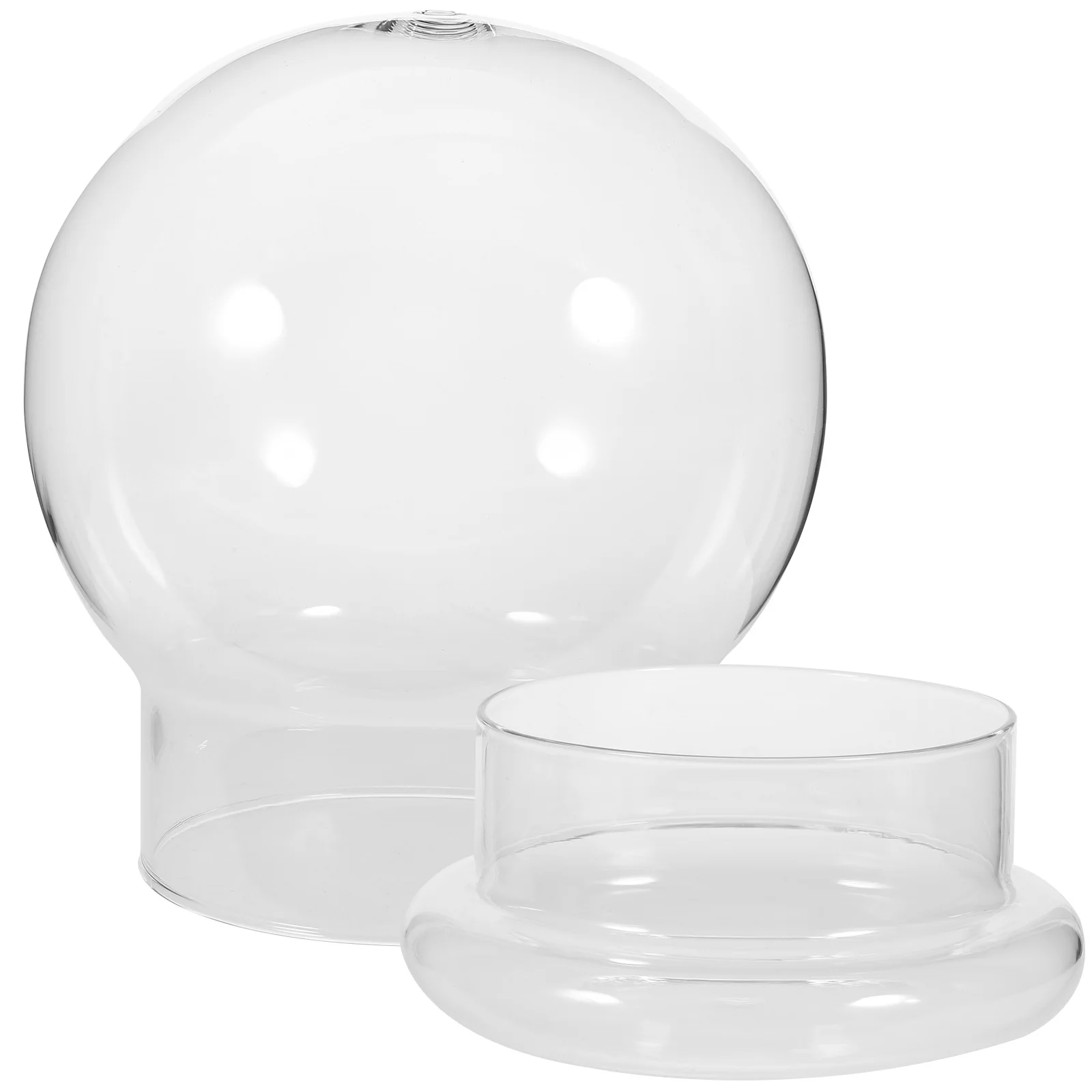 

Landscape Ecological Bottle Terrarium Jar Glass Plants Moss with Dome Cover Display Vertical Cloche Bell Container