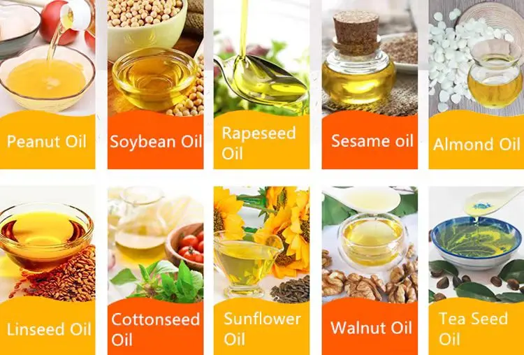 Screw Oil Presser Machine Cold Press / Walnut Oil Extraction Machine / Peanut Oil Screw Press Machine