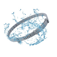 VIP Dog Collar Puppy Dog Cat 70cm 38cm for Small Dogs Cats Collar Adjustable Pet Items Accessories Gray Blue Red Green Purple