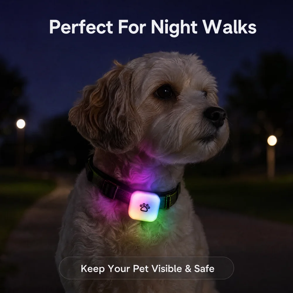 Outdoor Lighting Pendant - LEDペットカラーペンダントライト、USB-C充電式、IP65防水、2モード、夜間安全、アウトドアハイキングペットアクセサリー