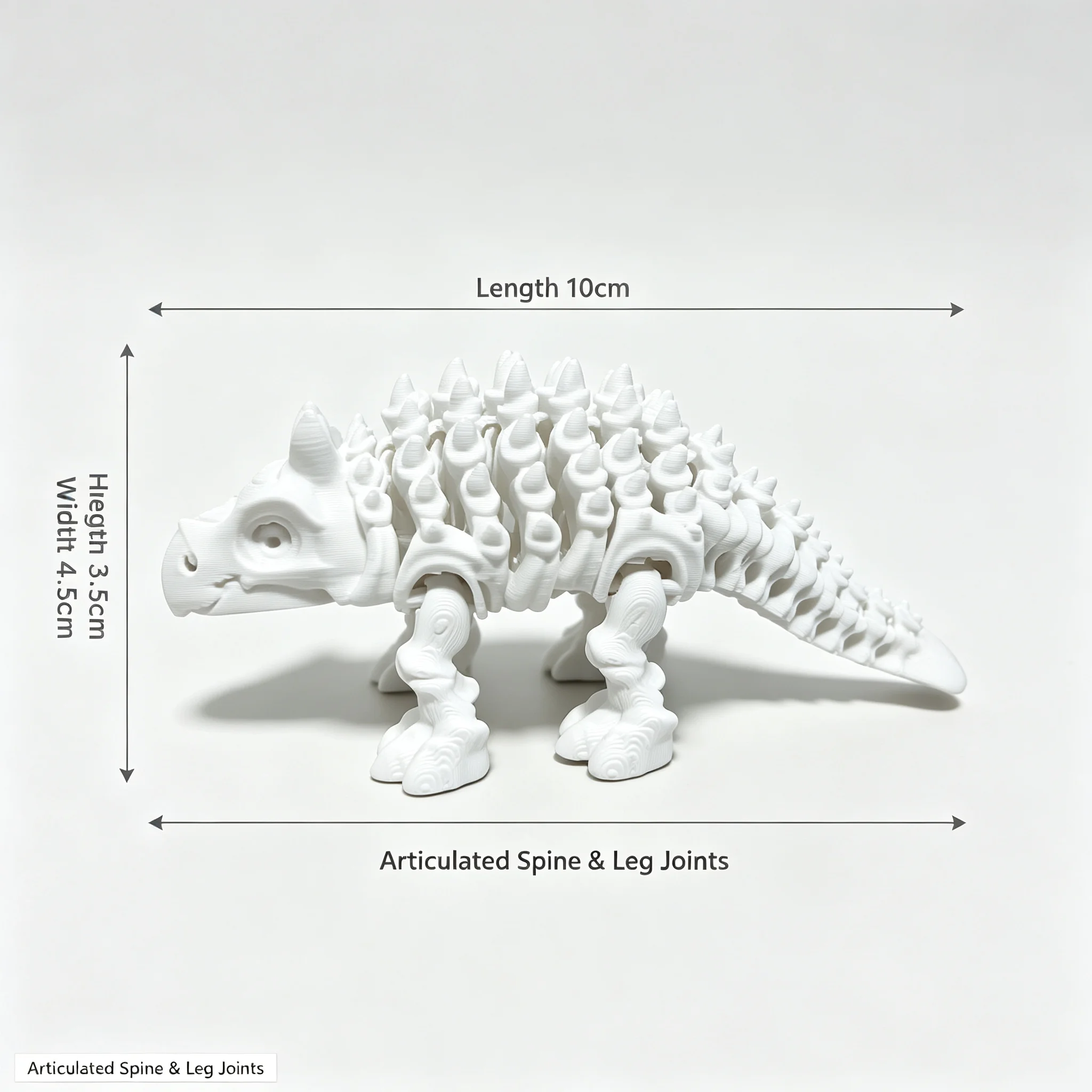 โครงกระดูกไดโนเสาร์แอนคิโลซอรั - 3D Printing Yourself บทวิจารณ์และราคา