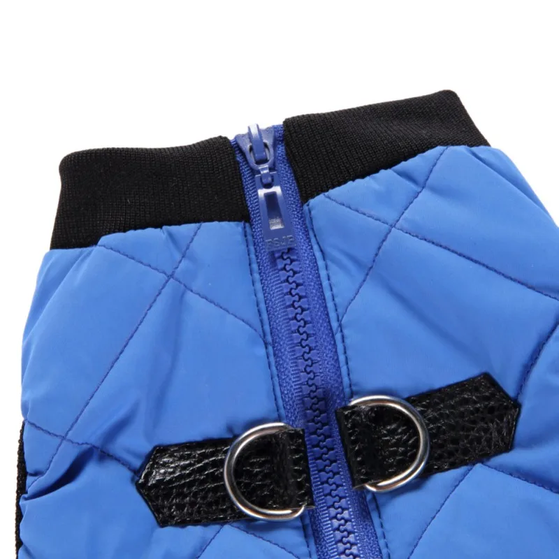 Winter Warm Pet Clothes Dog Jacket Coat With Zipper Warm Dogs Clothes Leisure Jacket Pet Dogs Cat Outdoor Clothing Blue Purple