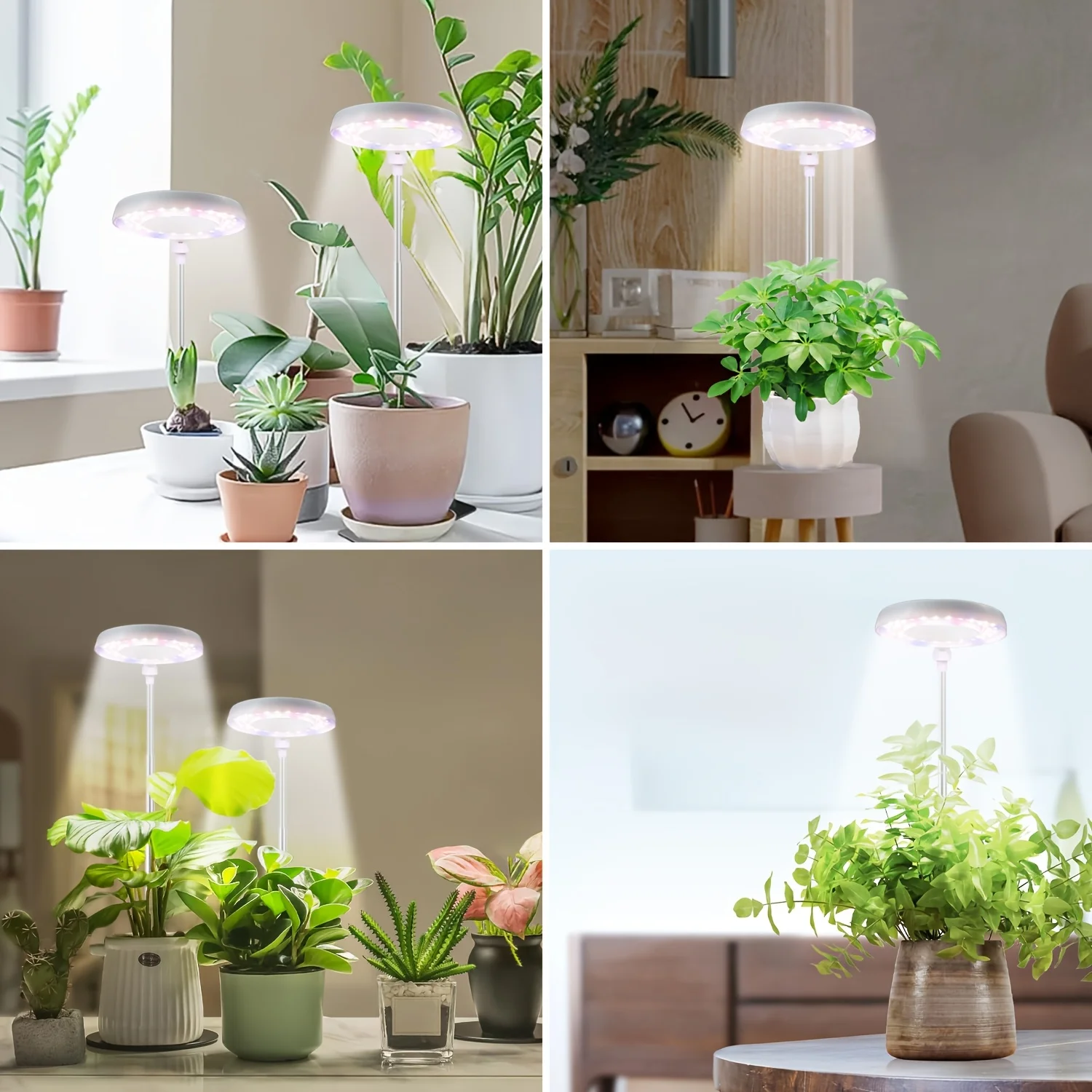 Circular plant lamp suitable for indoor plant growth-LED full-spectrum plant lamp with 4/8/12/18H timing function