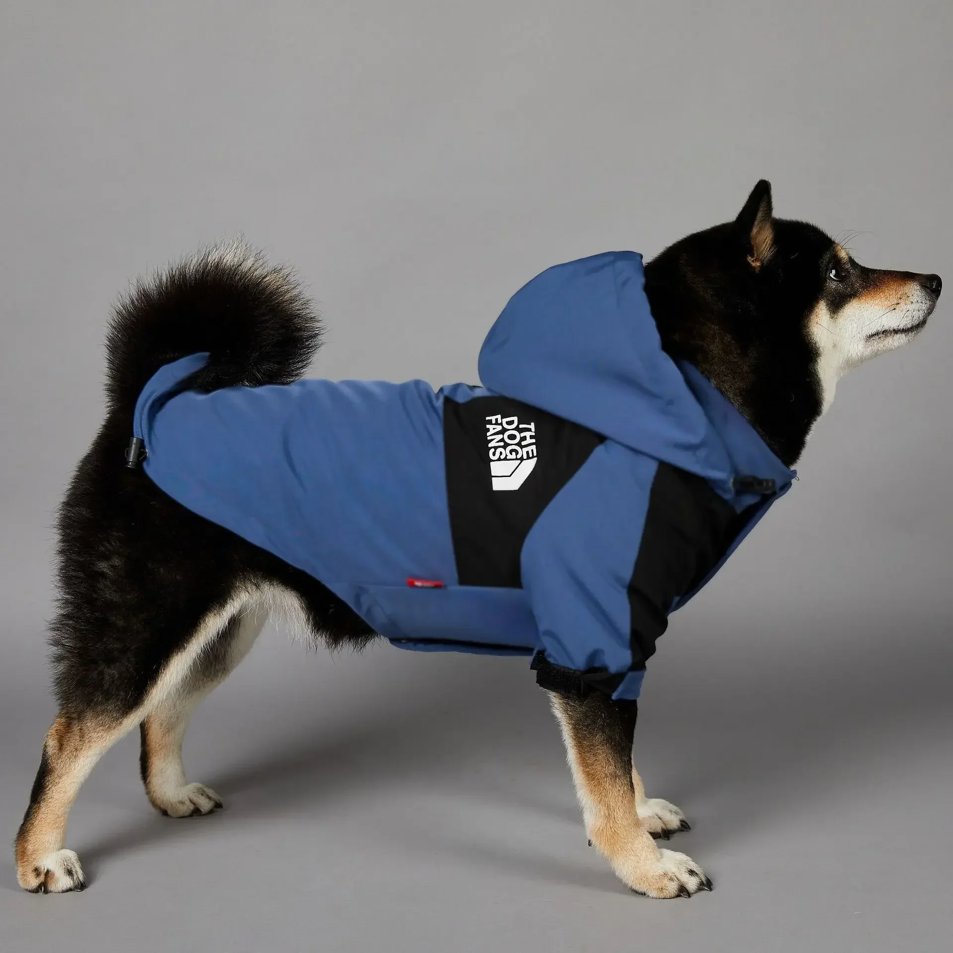 

Dog Jacket Windproof Rainproof Large Dog Raincoat Blue Charge Coat North Pet Face Dog Clothe