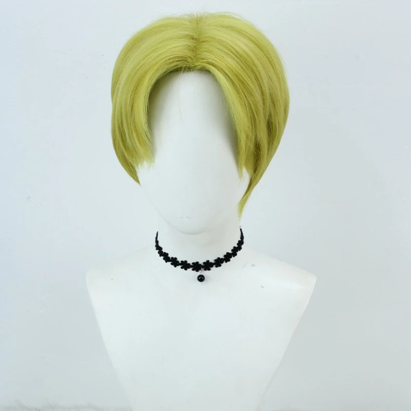 2D Anime Cosplay Wig for Comic Con, Anime Character Role Play Wig Easy To Style