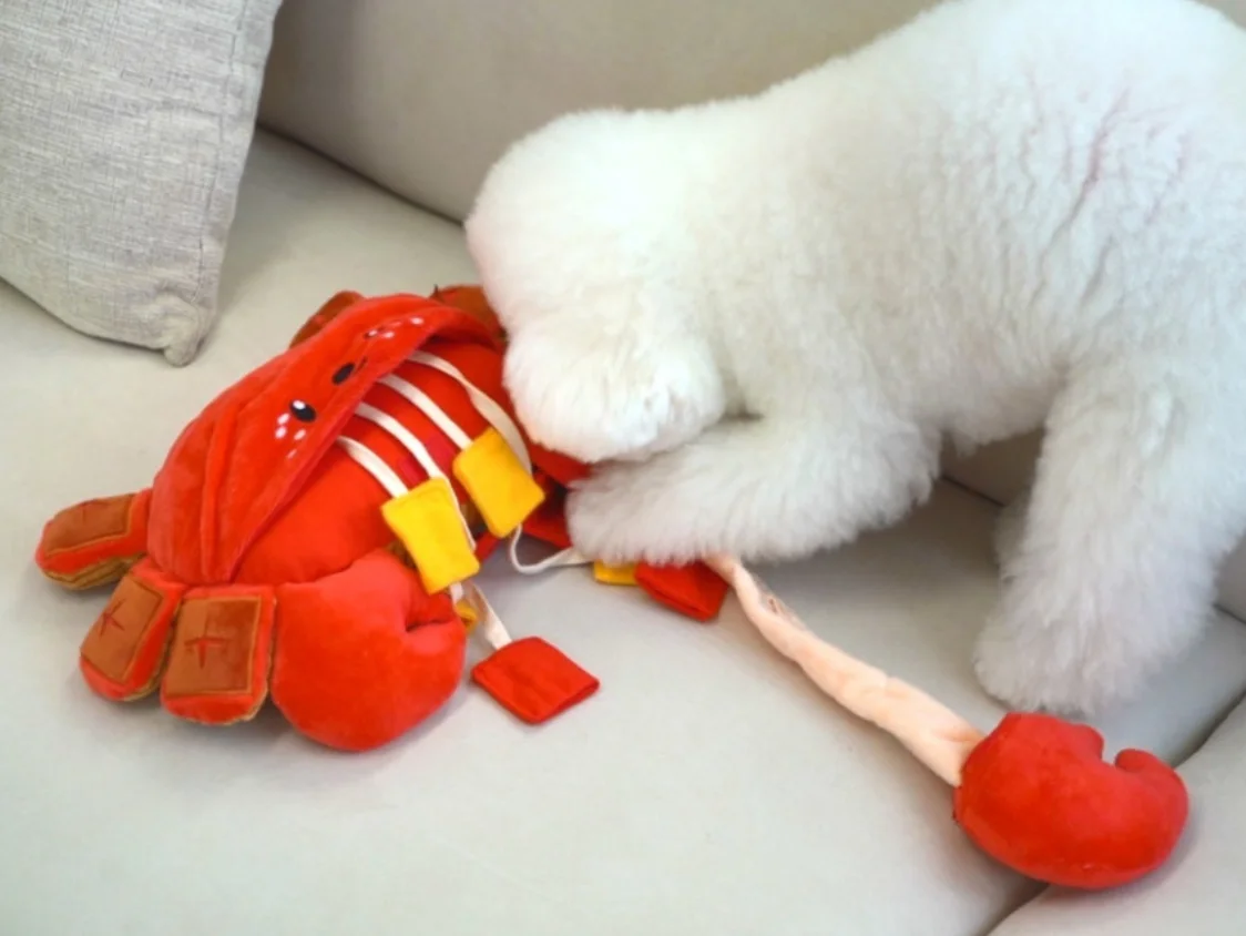 

Карманная игрушка-краб в корейском стиле для собак, шум для домашних животных, бумажная игрушка BB Called Spot Ins, новая экспортная игрушка для собак