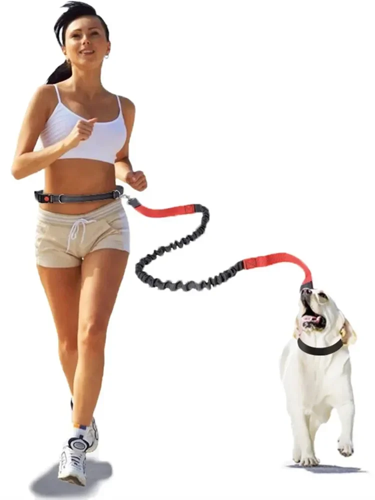 AliExpress Retractable Dog Leash with Adjustable Waist Rope Hand Free Running Jogging Cycling Big Dogs Pet