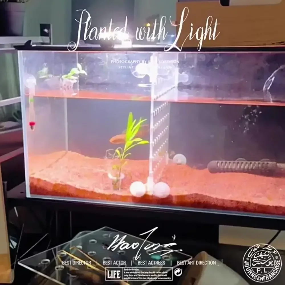 20/30Pcs Plastic Aquarium Planting Cups For Freshwater Fish Tank Decoration With Suction Base Water Grass Grow Containers