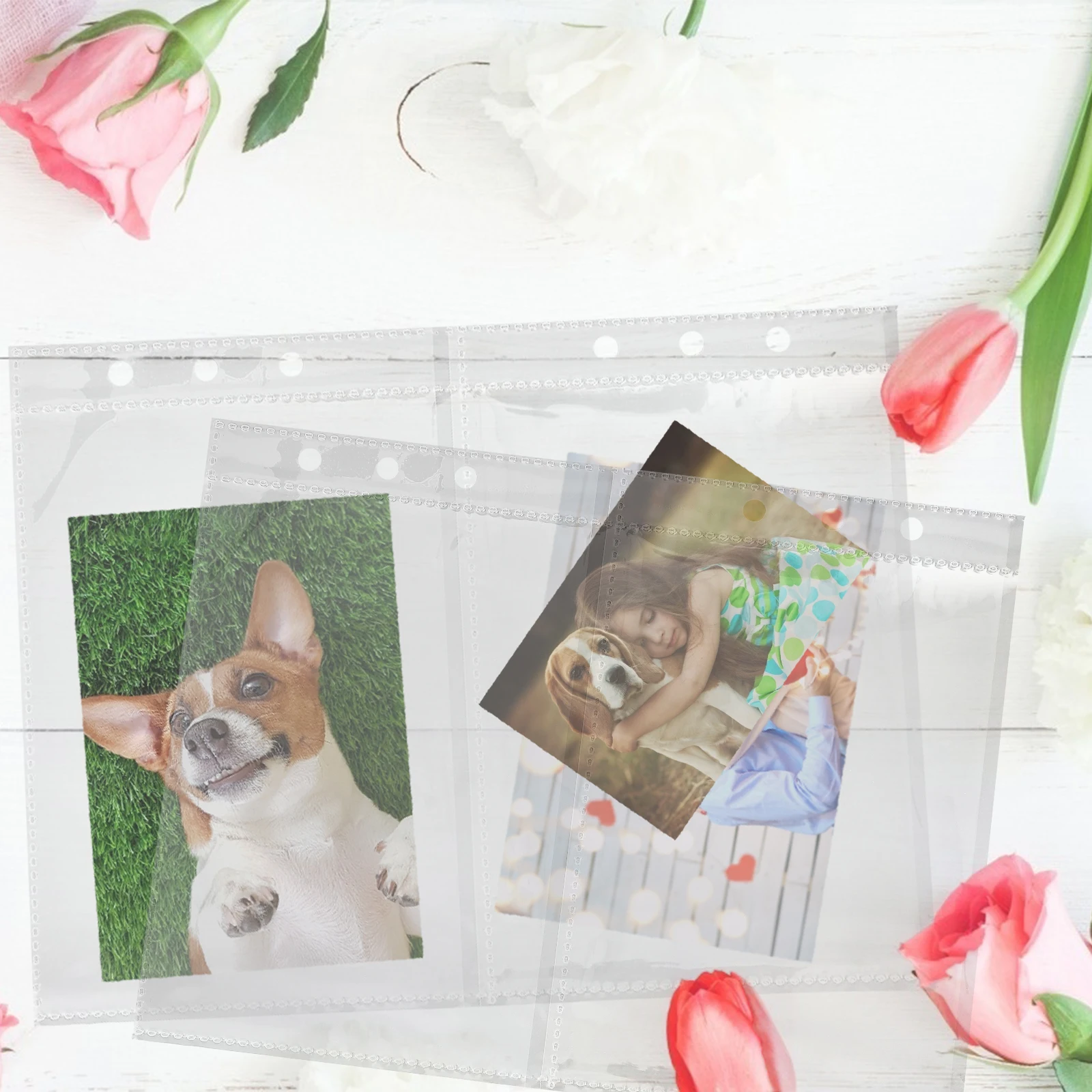 

1 pc Transparent Plastic Display Booklet For Id Certificate Game Picture Protection Lightweight Stationery Smooth Inner