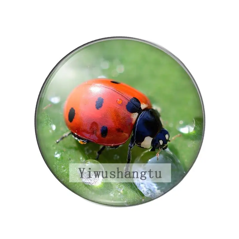 New insect ladybug go back to nature 10mm/12mm/18mm/20mm/25mm Round photo glass cabochon demo flat back Making findings ZB0543