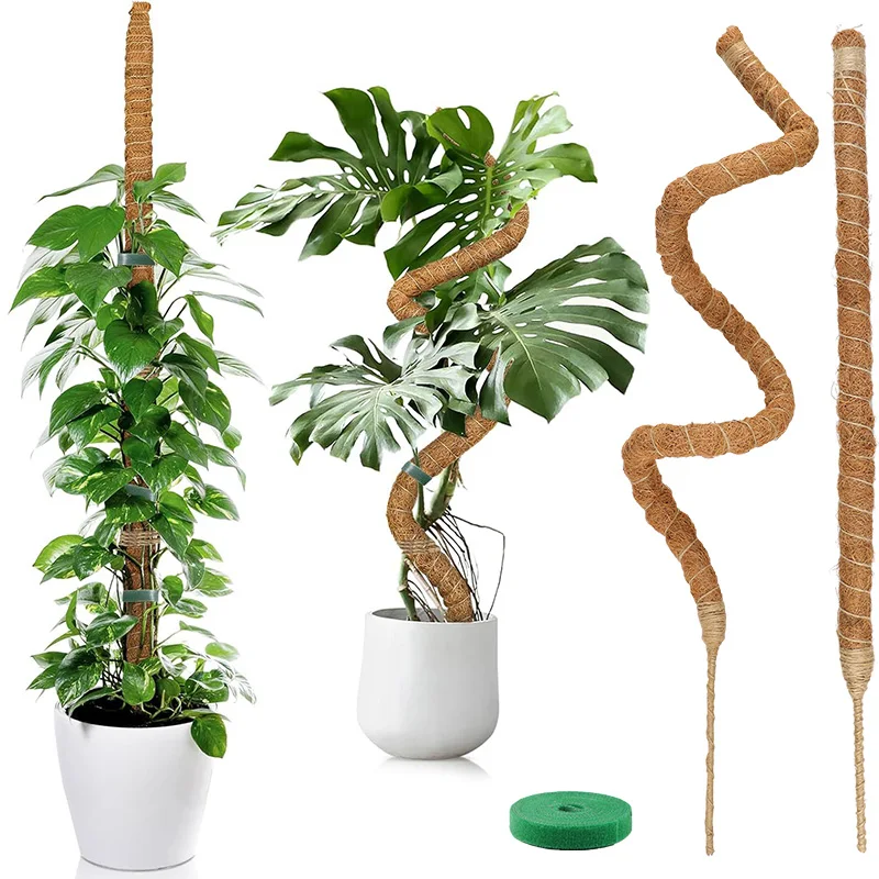 Biegbare Pflanzenkletterhilfe für Monstera, Palmenranken, Moosstangen, Topfpflanzen-Stäbe, DIY Heim- und Gartendeko-Zubehör