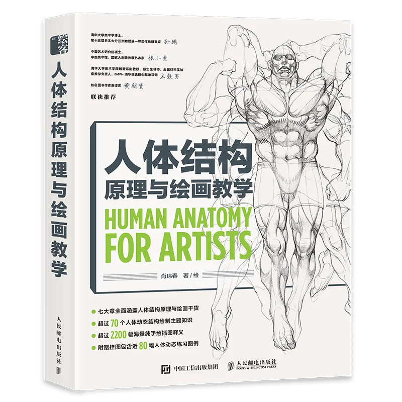 

Human Anatomy For Artists Human Body Structure Principle and Painting Teaching Self-study Textbook Copy Art Collection