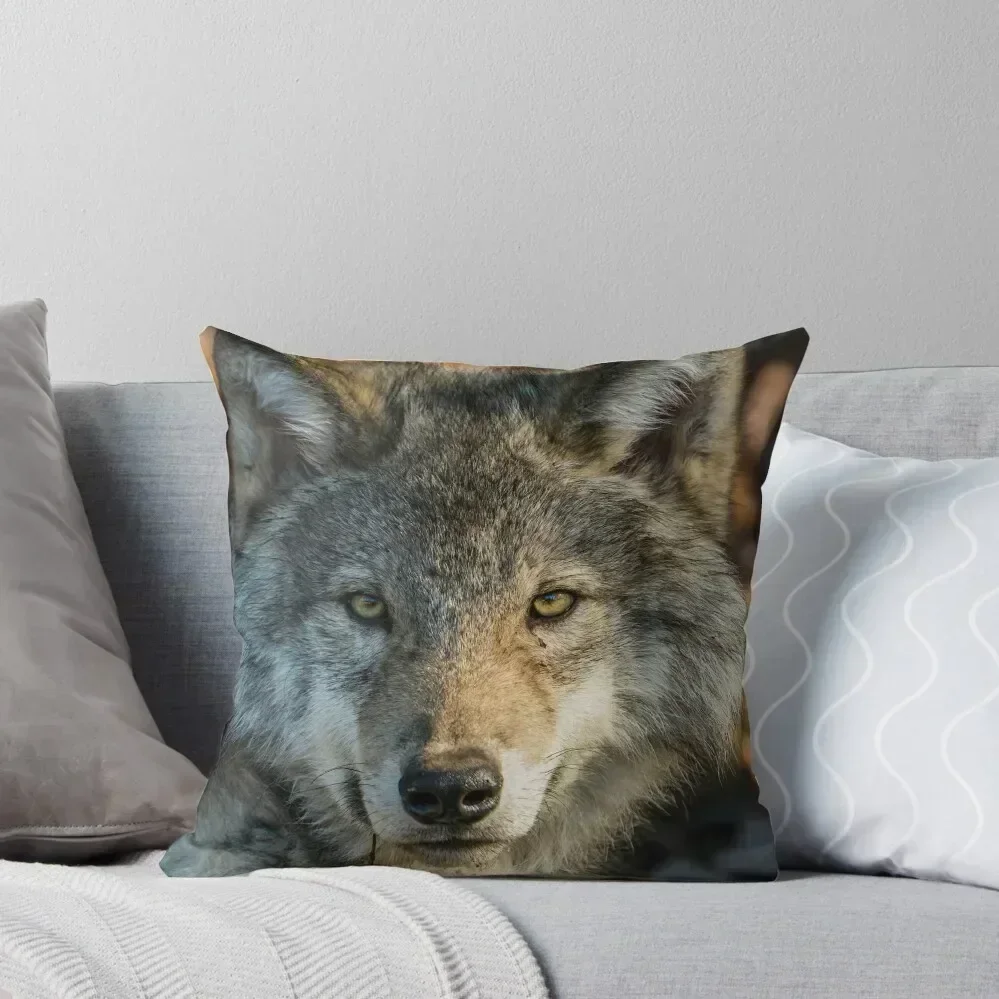 

Timber Wolf - Looking at you. Throw Pillow Luxury Living Room Decorative Cushions Bed pillowcases Christmas Pillow pillow