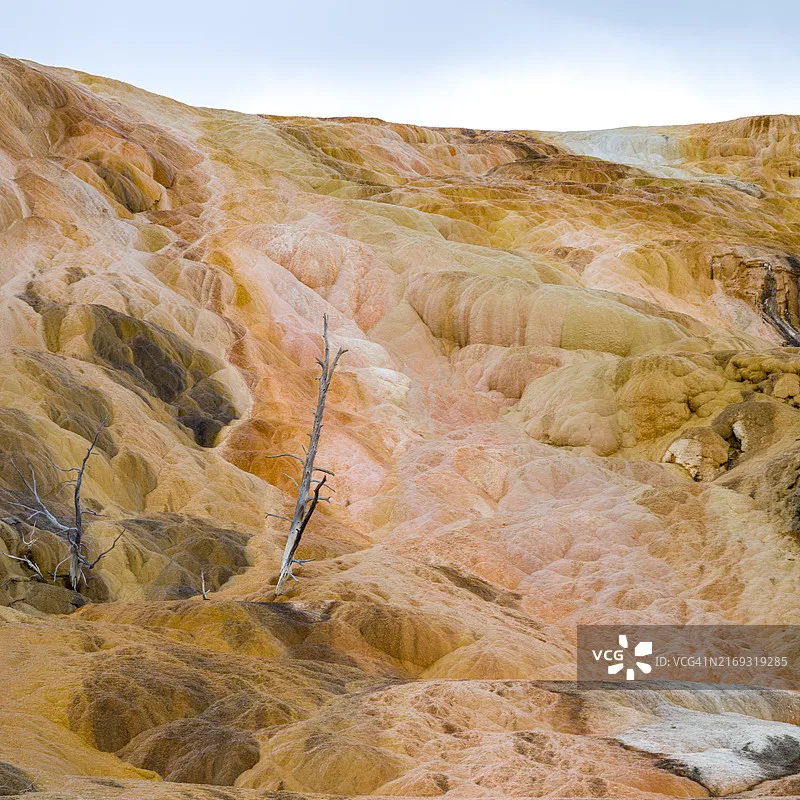 jjrc-1-18-c8801-rc-voiture-simulation-hors-route-escalade-wrangler-24g-pleine-echelle-professionnel-rc-modele-voiture-enfants-jouet-de-noel