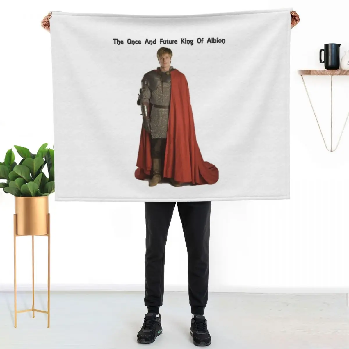 arthur Throw Blanket Soft Plush Plaid Sofa Hair For Decorative Sofa Decorative Beds Giant Sofa Blankets