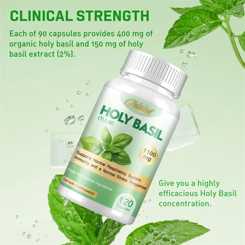 Holy Basil - Stress Support Emotional Well-Being, Antioxidant, Immune Support, Non-GMO