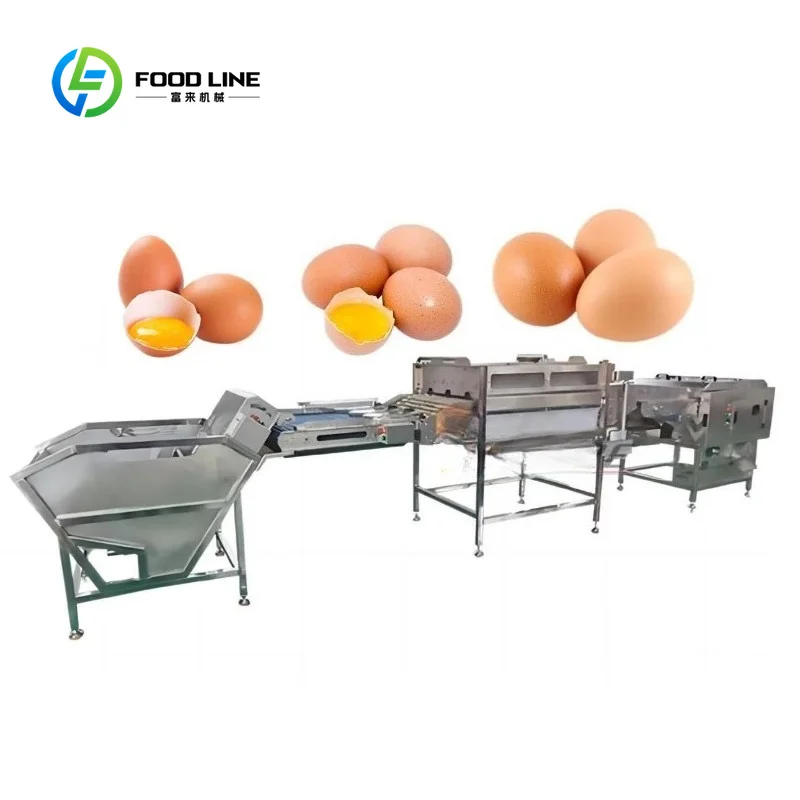 Fully Automatic Egg Washer with Washing and Drying Function, Custom Commercial Egg Processing Machinery