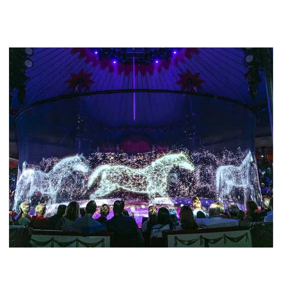 

3D Holographic Projection Display Screen 16:9 Mesh Material for Hologram Video Stage Shows
