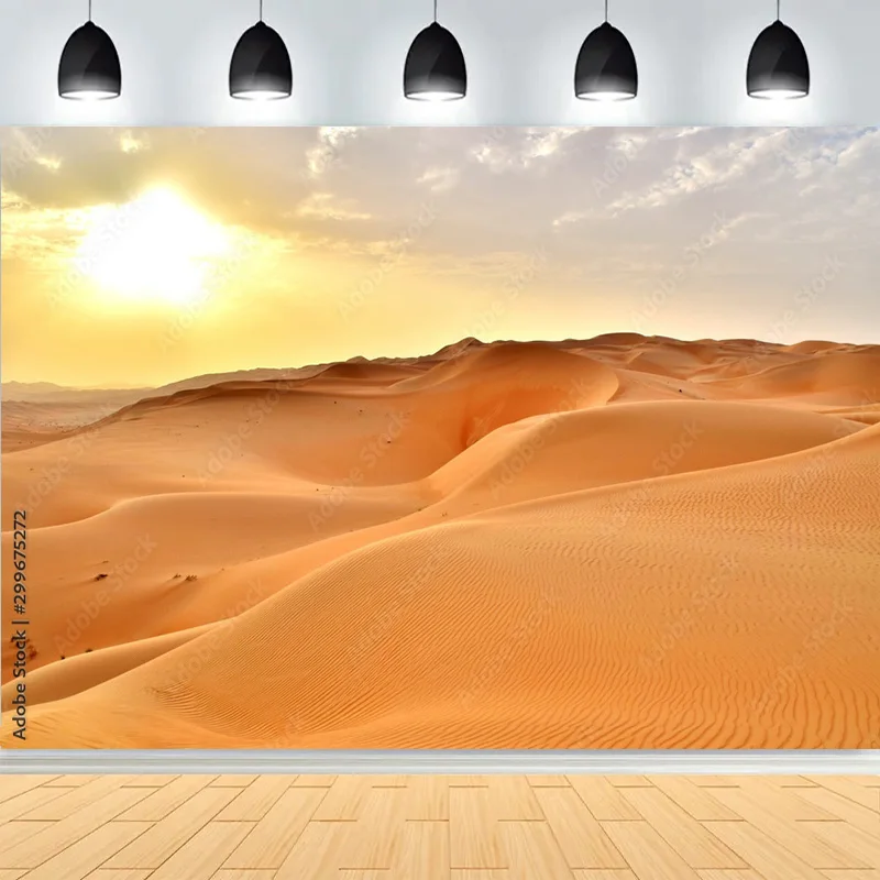 Scenic Sahara Desert Sunlight Sky Photography Backdrops Morocco Africa Landscape Sunset Sand Dune With Bushes Background DS-04